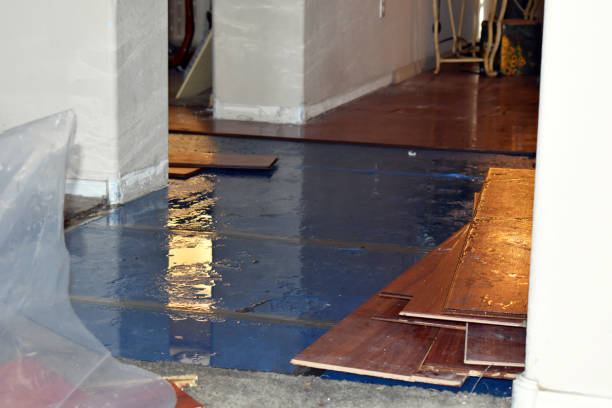 Professional Sewage Cleanup technician working in Thurman, OH